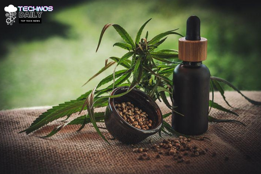 Is CBD Payment Processor The Future Of Payment Processing?