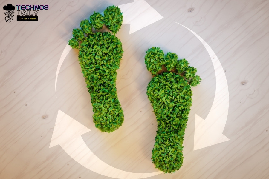 A Quick Guide on How to Reduce Your Carbon Footprint