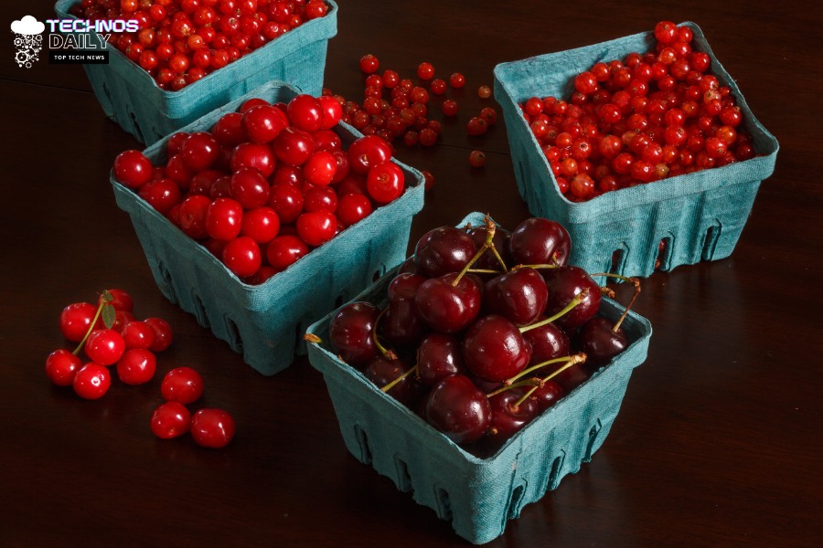 Exploring Octavia Red Slippery Bounty: A Delicious Superfood